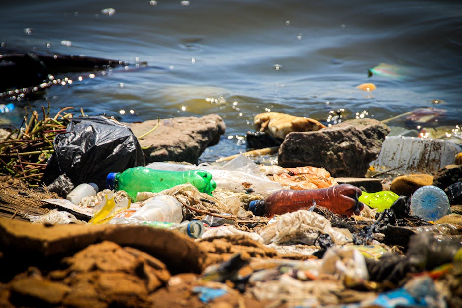 The image shows a shoreline covered with various types of litter and waste materials, including plastic bottles, containers, and wrappers in multiple colors such as green, brown, and transparent. There are smooth, weathered rocks scattered along the water's edge, some partially submerged or resting on the sandy and muddy ground. Piles of discarded plastic, food packaging, and other debris are intermingled with the rocks and driftwood, creating an unsightly scene of pollution. The water in the background appears calm with gentle ripples, and small floating fragments of plastic are visible on its surface. The environment suggests a natural setting impacted by human waste, highlighting issues relevant to waste management and the importance of proper rubbish disposal, which services like those offered by Rubbish Collection Barnet aim to address. The lighting indicates daytime with clear visibility, emphasizing the contrast between the natural landscape and the accumulated rubbish.
